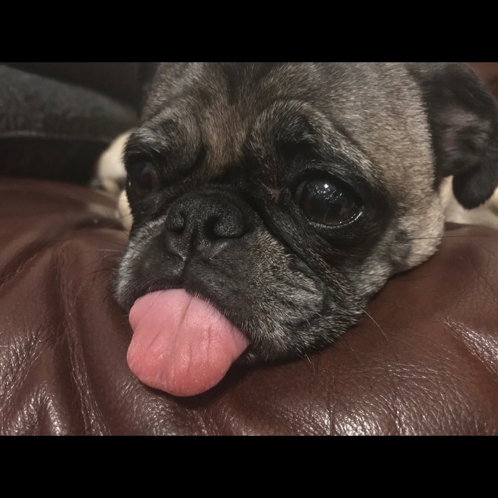 Meet your Posher, Miriam